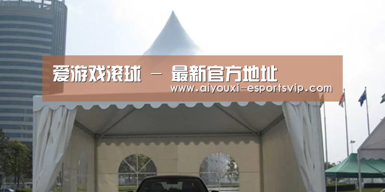 案例标题八(图1)