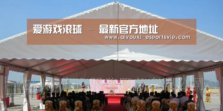 案例标题三