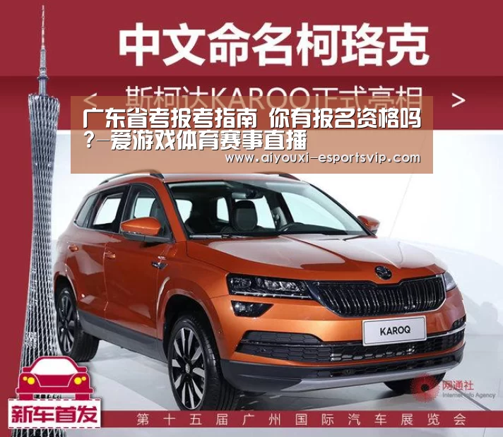 爱游戏滚球