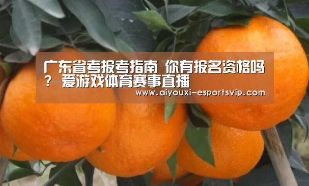 爱游戏体育APP
