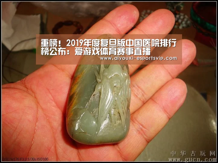 重磅!2019年度复旦版中国医院排行榜公布:爱游戏体育赛事直播(图4) 爱游戏体育赛事直播