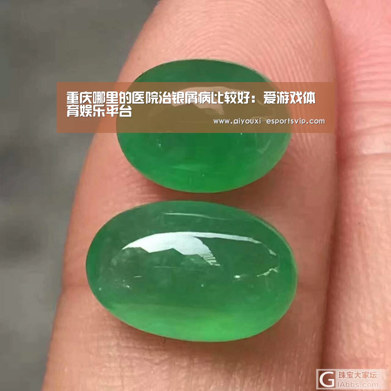 爱游戏体育赛事直播